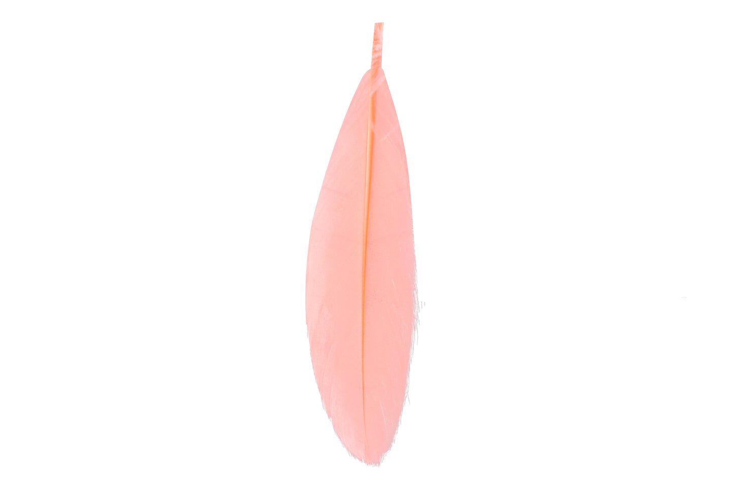Venus earrings