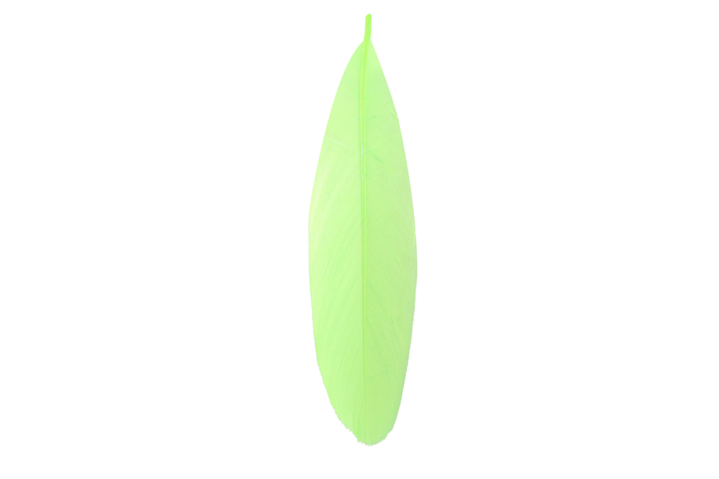 Venus earrings