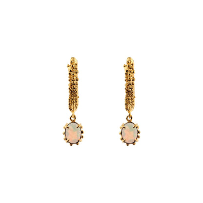 Aretes Behbel medianos