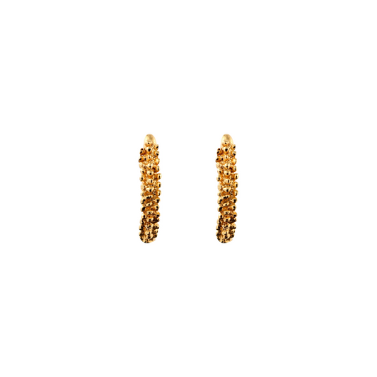 Aretes Behbel grandes