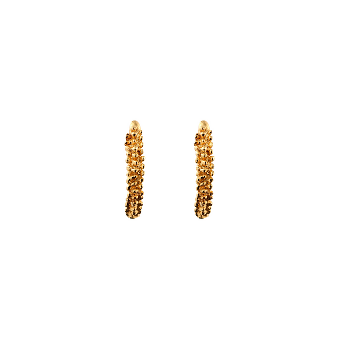 Aretes Behbel grandes